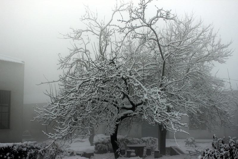 德科廠區(qū)雪景 德科廠區(qū)雪景